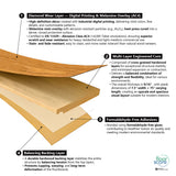 Technical specifications and layer construction details for 8082-05 Canyon Driftwood engineered hardwood flooring