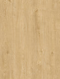 SA318 Aspen Birch 5mm Desertland SPC flooring in light beige wood finish with natural birch grain texture