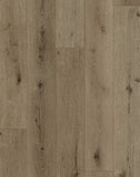 SA552 Ebony Oak Glue Down LVT flooring with warm brown oak texture, natural wood grain, and authentic knot detail